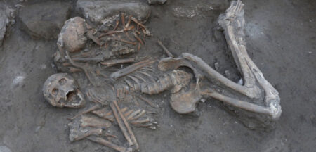Bronze Age Brain Surgery On Royal Brothers Discovered