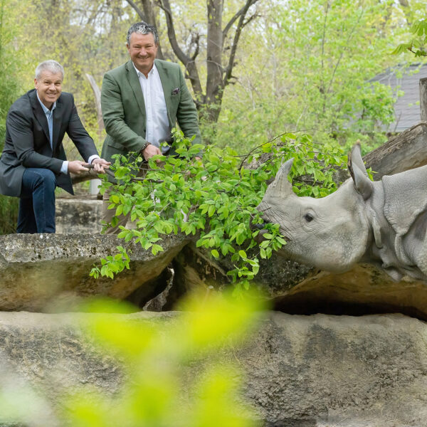  Endangered Indian Rhinos From World’s Oldest Zoo Munch On Protected Woodland Treats