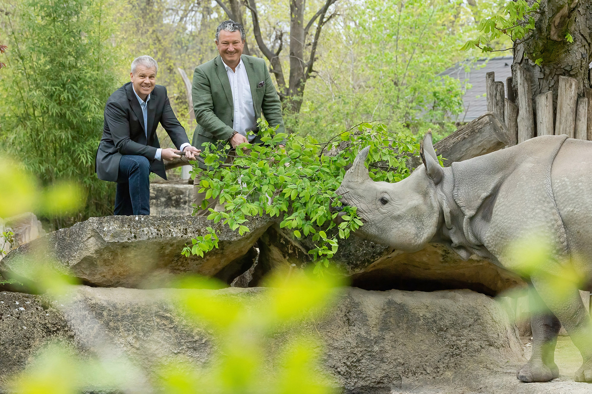 Endangered Indian Rhinos From World’s Oldest Zoo…