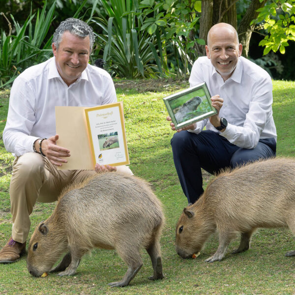 World’s Oldest Zoo Names Labour Minister As Capybaras’ Godfather Weeks After Banning…